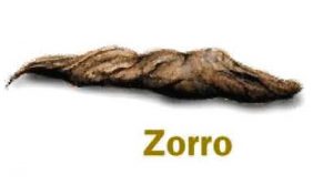 excremento-zorro