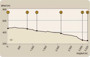perfil-ruta-el-jabalí-encinarejo