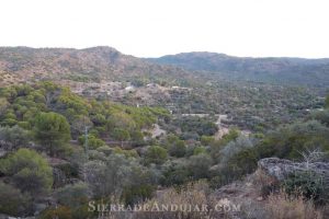 Vistas sendero-jabali-encinarejo