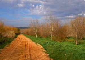 Sendero La Ropera