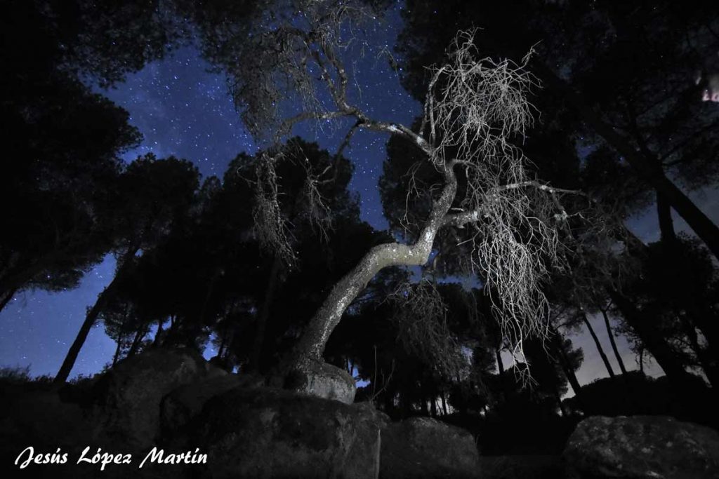Cielo-estrellas-Sierra-de-Andujar