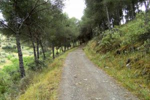 Ruta-sendero-Del-Bronce-Sierra-de-Andujar