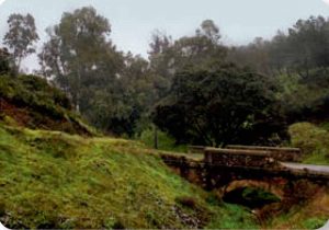 Sendero-el-Centenillo-puente