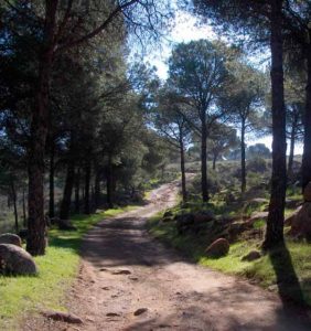 camino-del-Bronce-Ruta-Sierra-de-Andujar