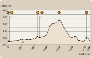 Perfil ruta Pozo Nuevo