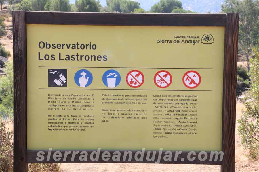 sierra-de-andujar-71 ruta encinarejo
