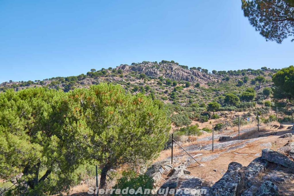 mirador-y-monumento-al-peregrino-1