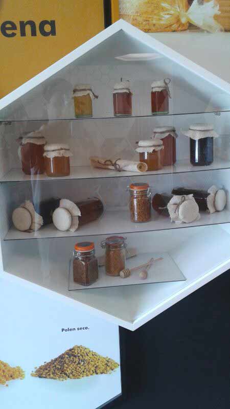 museo botes con miel