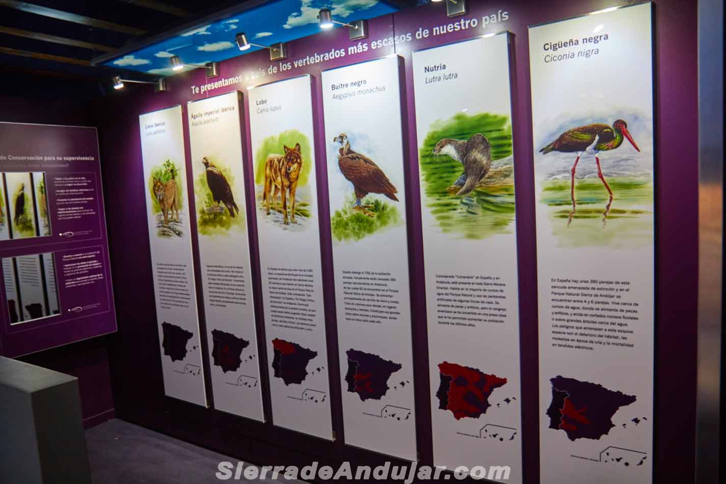 punto de informacion Sierra de andujar- cercado del cipres