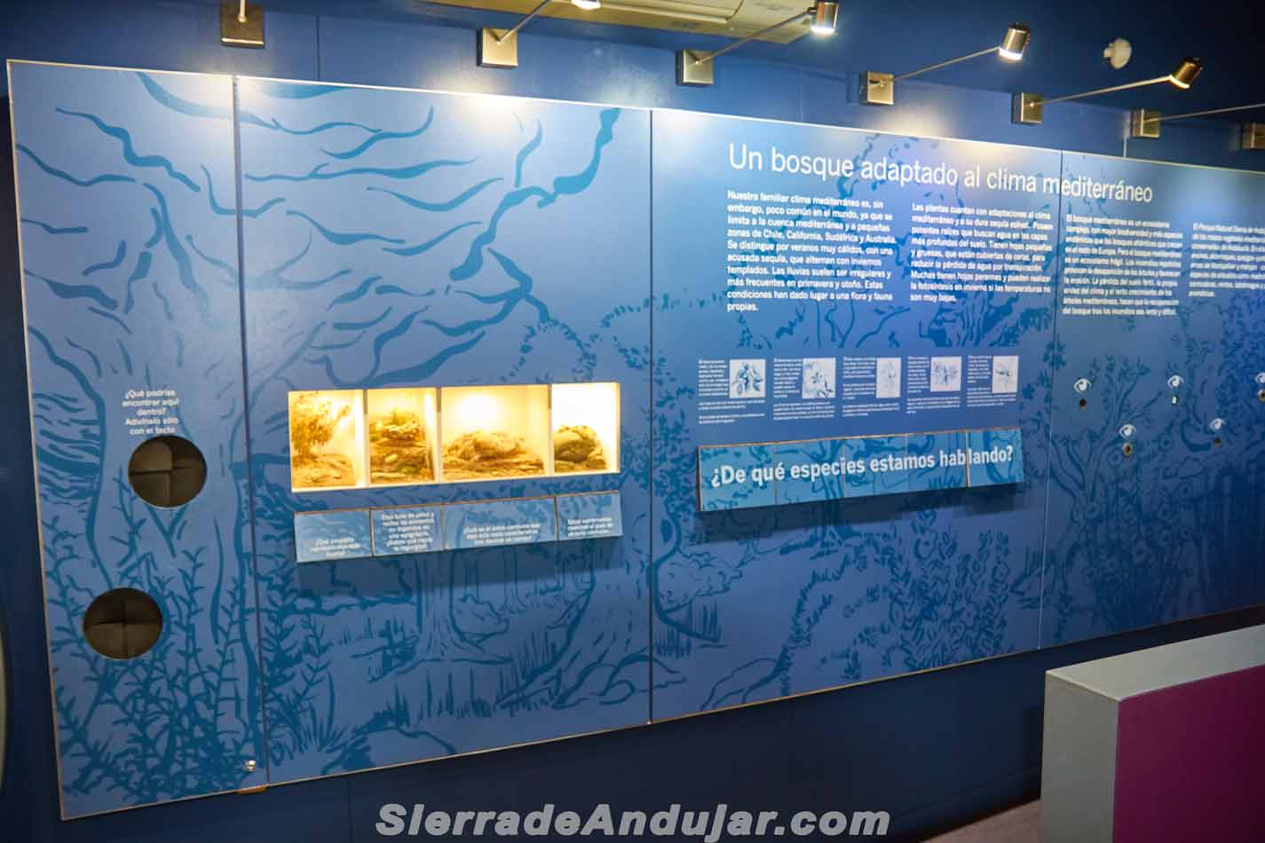 punto-de-informacion-cercado-del-cipres