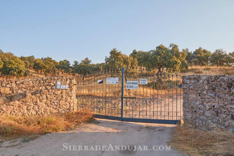 Coto-la-Lastrilla-Sierra-de-Andujar-16