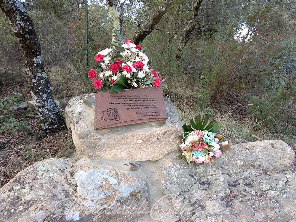 Placa Bicharracos