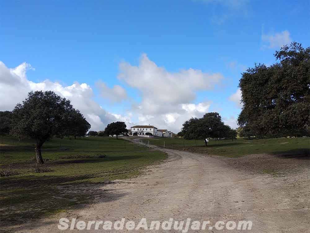 Casa ganaderia Flores Abarran