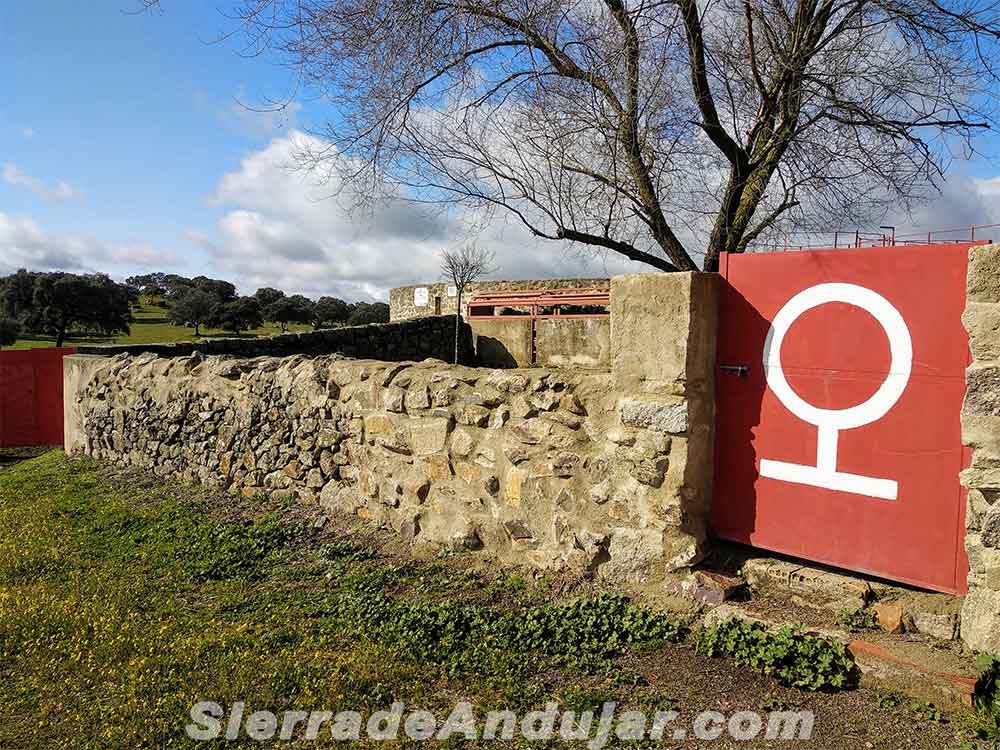 Logo ganadería Flores Albarrán