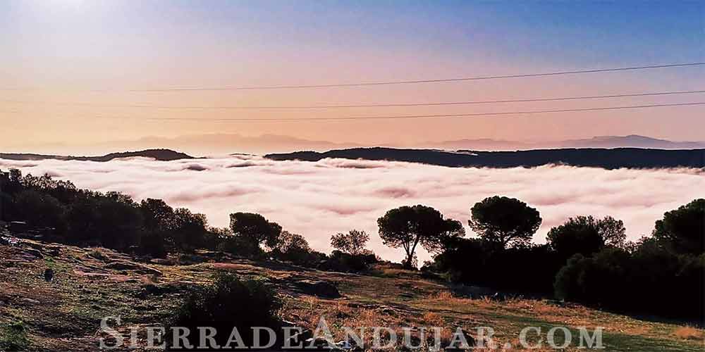 niebla en sierra de andujar