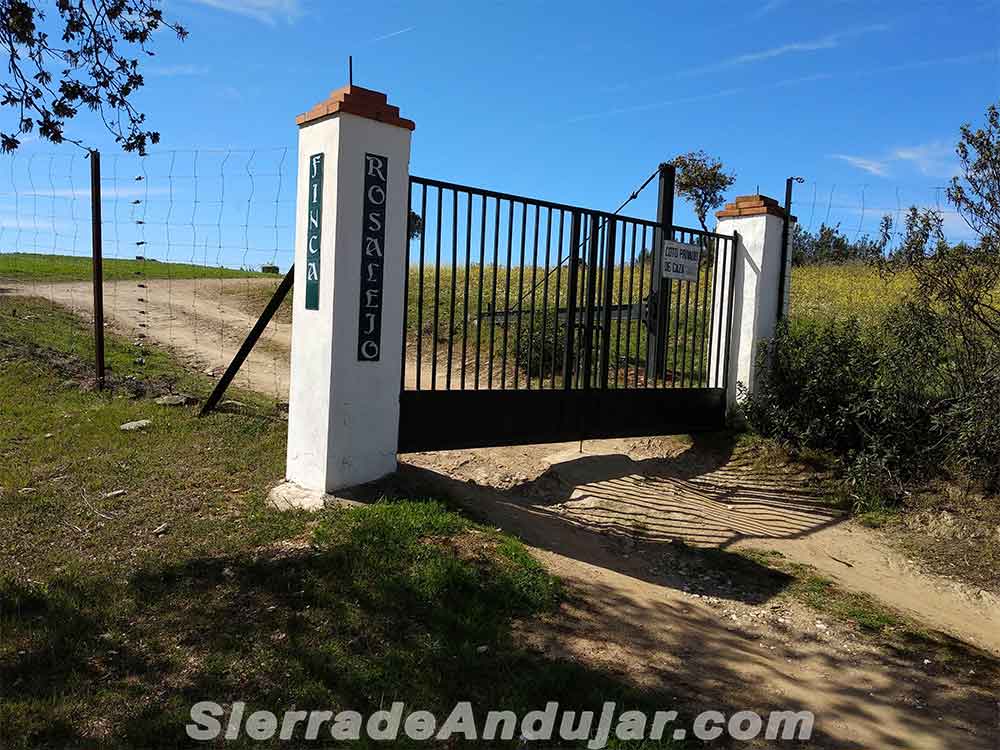 Finca Rosalejo