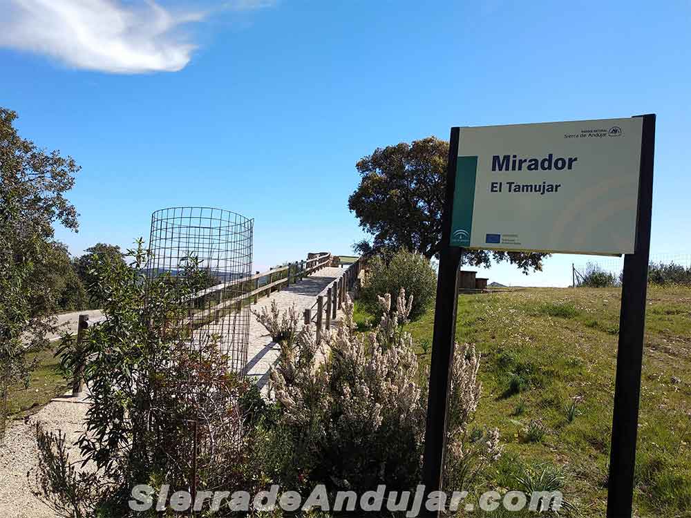 Mirador Sierra de Andújar Tamujar